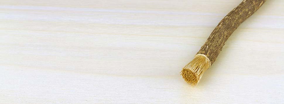 william addis toothbrush